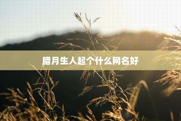 腊月生人起个什么网名好
