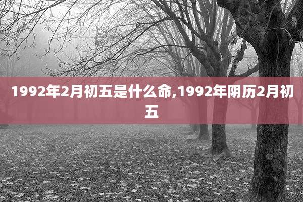 1992年2月初五是什么命,1992年阴历2月初五