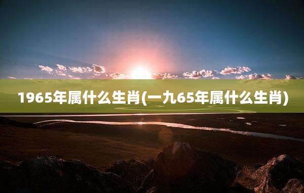 1965年属什么生肖(一九65年属什么生肖)