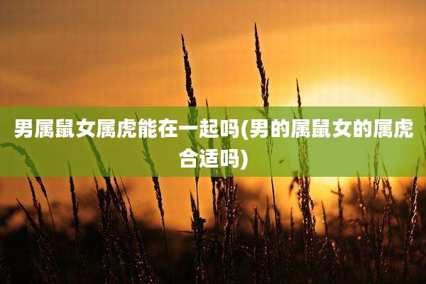 男属鼠女属虎能在一起吗(男的属鼠女的属虎合适吗)