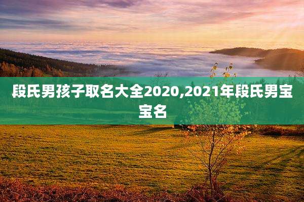 段氏男孩子取名大全2020,2021年段氏男宝宝名