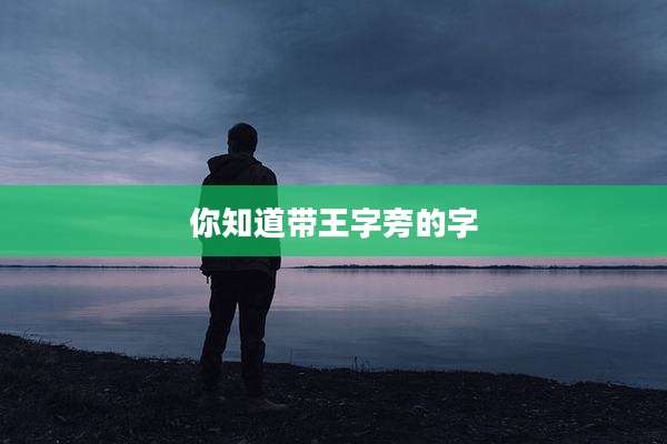你知道带王字旁的字