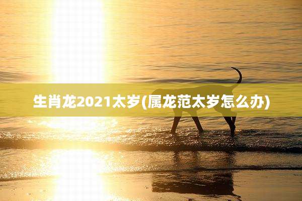 生肖龙2021太岁(属龙范太岁怎么办)