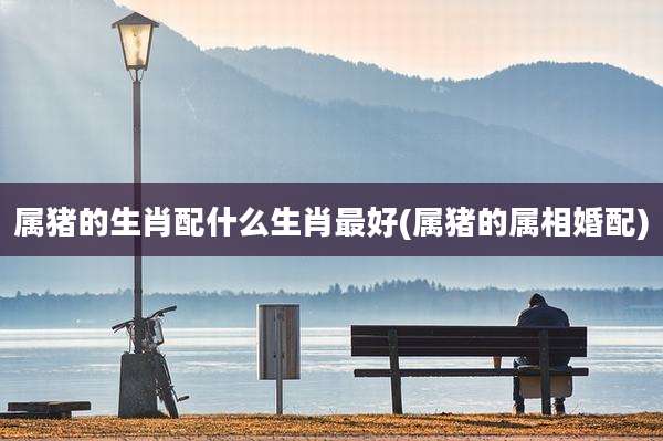 属猪的生肖配什么生肖最好(属猪的属相婚配)