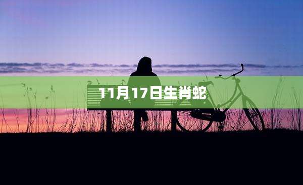11月17日生肖蛇