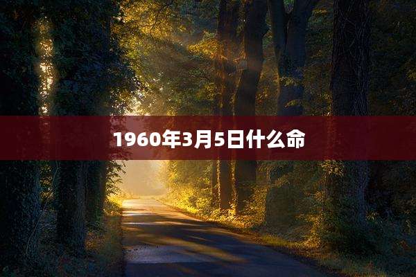 1960年3月5日什么命