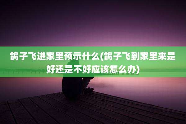 鸽子飞进家里预示什么(鸽子飞到家里来是好还是不好应该怎么办)