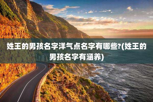 姓王的男孩名字洋气点名字有哪些?(姓王的男孩名字有涵养)