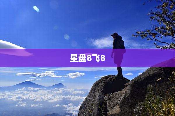星盘8飞8