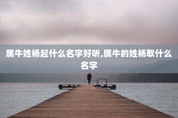 属牛姓杨起什么名字好听,属牛的姓杨取什么名字