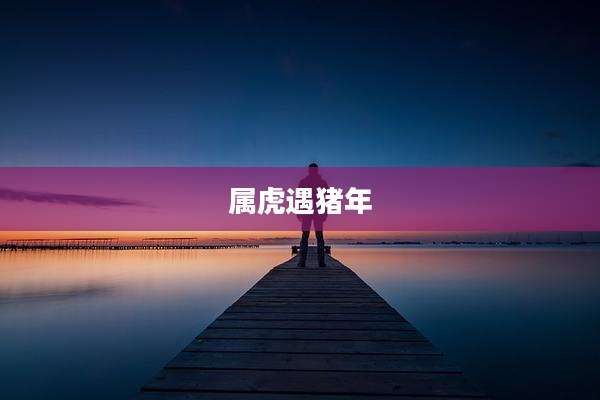 属虎遇猪年