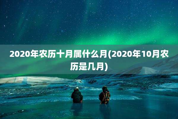 2020年农历十月属什么月(2020年10月农历是几月)