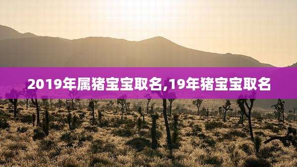 2019年属猪宝宝取名,19年猪宝宝取名