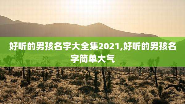 好听的男孩名字大全集2021,好听的男孩名字简单大气