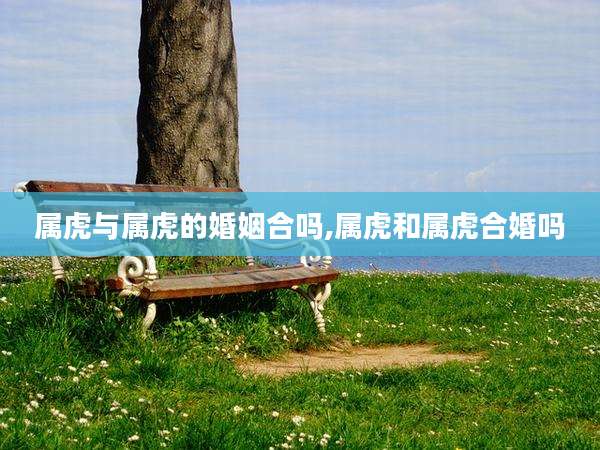 属虎与属虎的婚姻合吗,属虎和属虎合婚吗