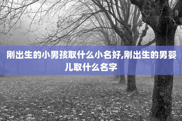 刚出生的小男孩取什么小名好,刚出生的男婴儿取什么名字
