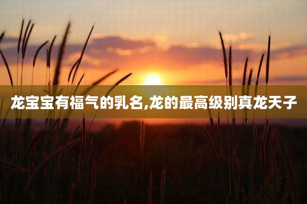 龙宝宝有福气的乳名,龙的最高级别真龙天子