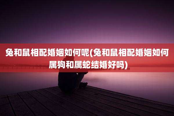 兔和鼠相配婚姻如何呢(兔和鼠相配婚姻如何 属狗和属蛇结婚好吗)