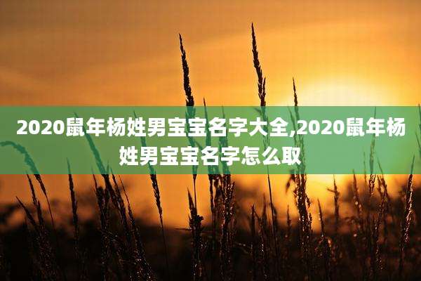 2020鼠年杨姓男宝宝名字大全,2020鼠年杨姓男宝宝名字怎么取
