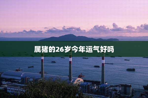 属猪的26岁今年运气好吗