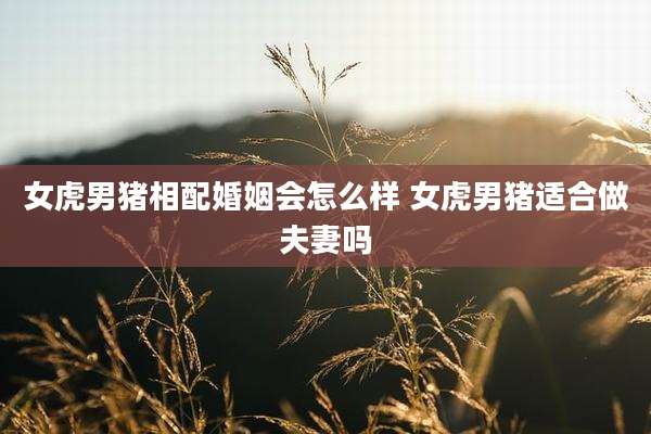 女虎男猪相配婚姻会怎么样 女虎男猪适合做夫妻吗