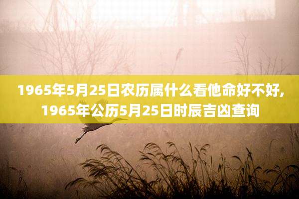 1965年5月25日农历属什么看他命好不好,1965年公历5月25日时辰吉凶查询