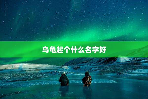 乌龟起个什么名字好