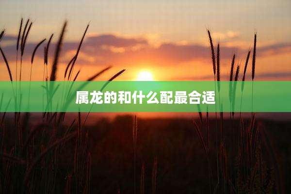 属龙的和什么配最合适