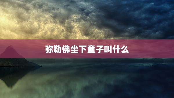 弥勒佛坐下童子叫什么