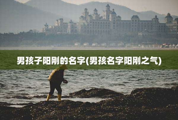 男孩子阳刚的名字(男孩名字阳刚之气)