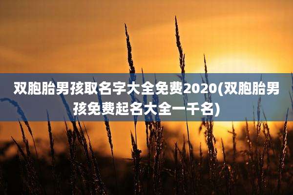 双胞胎男孩取名字大全免费2020(双胞胎男孩免费起名大全一千名)