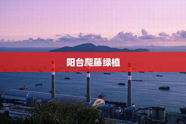 阳台爬藤绿植