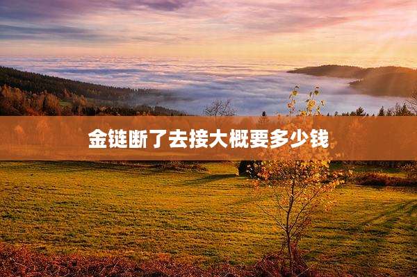 金链断了去接大概要多少钱