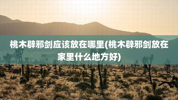 桃木辟邪剑应该放在哪里(桃木辟邪剑放在家里什么地方好)