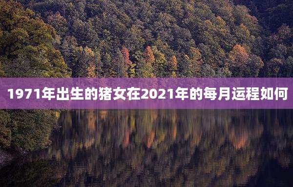1971年出生的猪女在2021年的每月运程如何