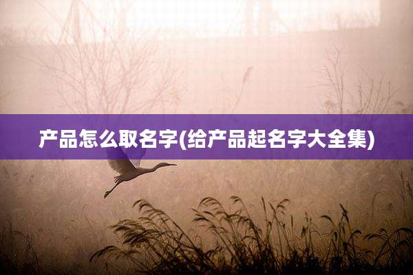 产品怎么取名字(给产品起名字大全集)