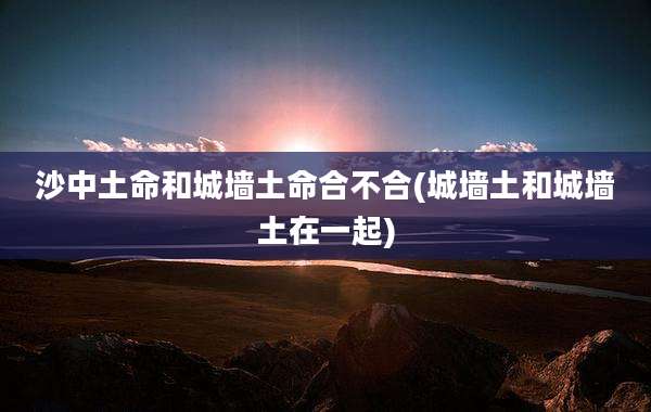 沙中土命和城墙土命合不合(城墙土和城墙土在一起)