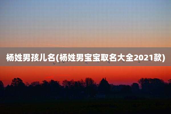 杨姓男孩儿名(杨姓男宝宝取名大全2021款)