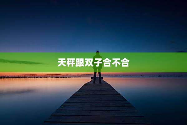 天秤跟双子合不合