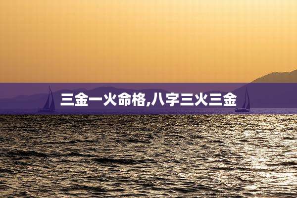三金一火命格,八字三火三金