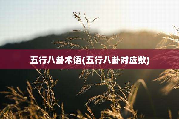 五行八卦术语(五行八卦对应数)