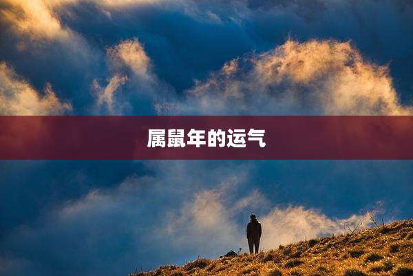 属鼠年的运气