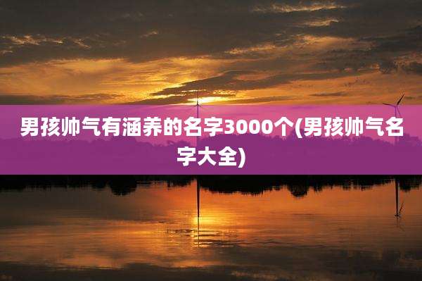 男孩帅气有涵养的名字3000个(男孩帅气名字大全)