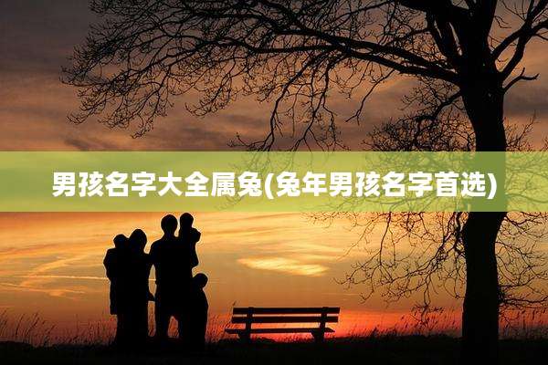 男孩名字大全属兔(兔年男孩名字首选)