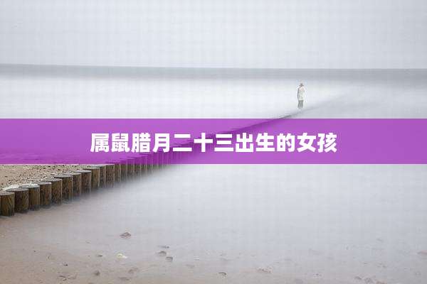 属鼠腊月二十三出生的女孩