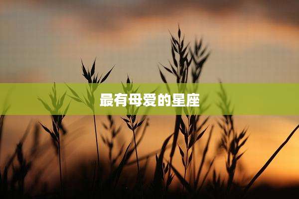 最有母爱的星座
