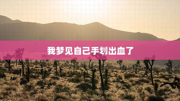 我梦见自己手划出血了