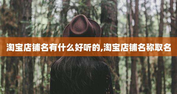 淘宝店铺名有什么好听的,淘宝店铺名称取名