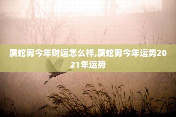 属蛇男今年财运怎么样,属蛇男今年运势2021年运势