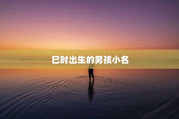 巳时出生的男孩小名